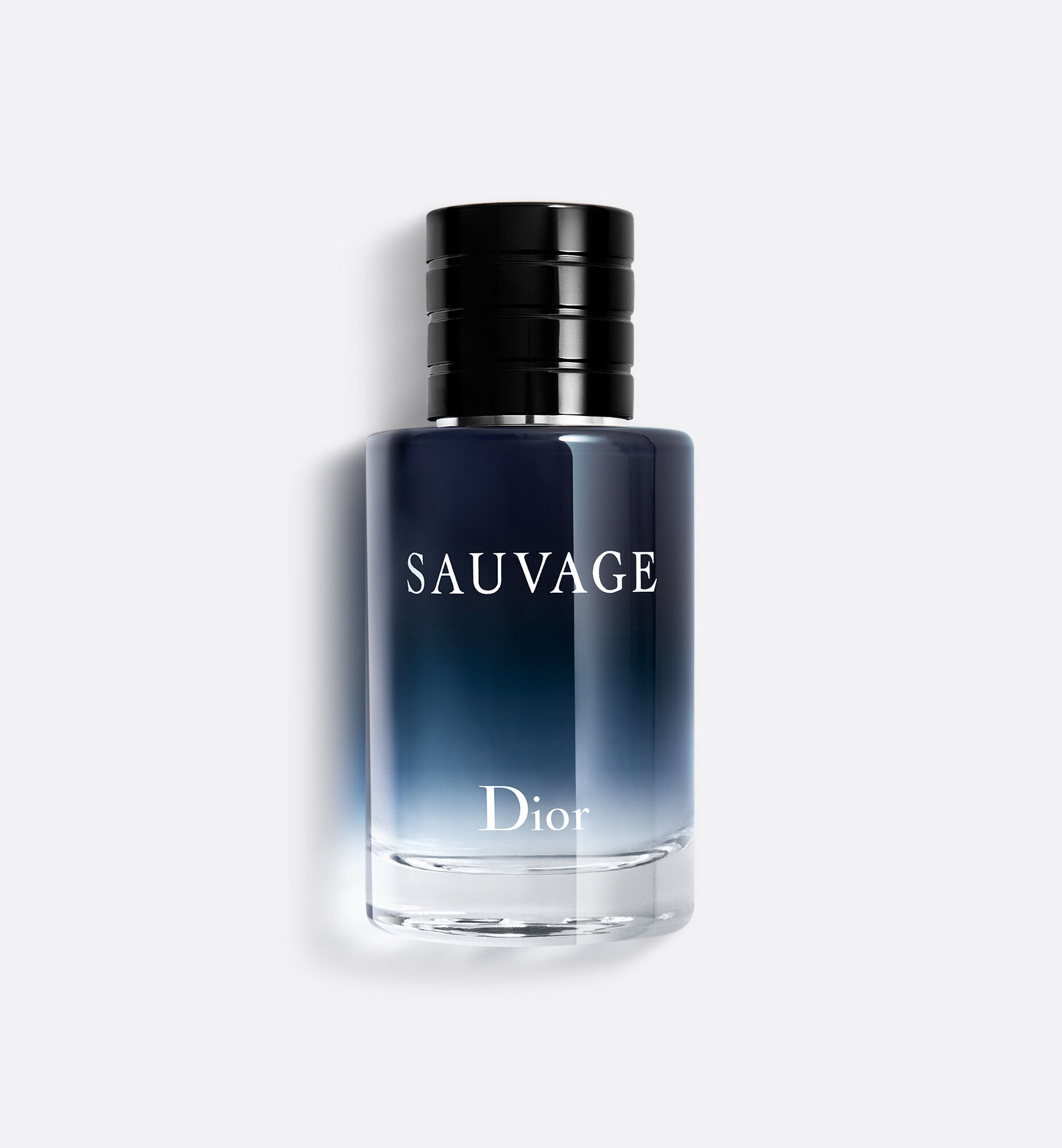 Celes (セレス) | Dior – Dior Homme Cologne (ディオール