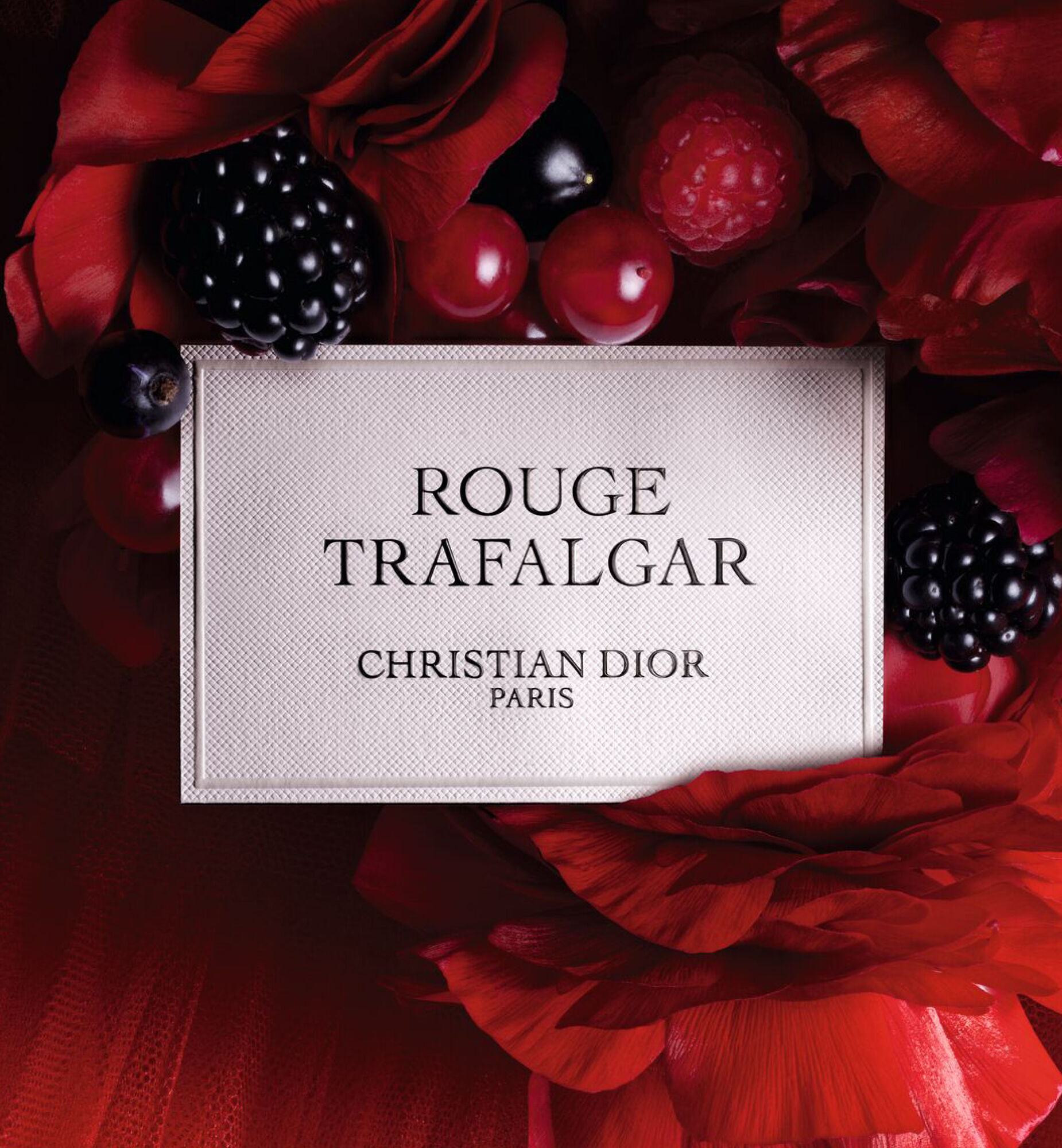 CHRISTIAN DIOR ROUGE TRAFALGAR 香水 残量9割 Rouge Trafalgar by Dior Fragrance Samples | DecantX | Eau de